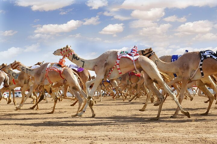 Experience the excitement of camel racing amidst the stunning desert landscape where tradition meets fun. Engage with iconic UAE culture while taking part in unforgettable activities.